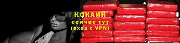 винт Богданович