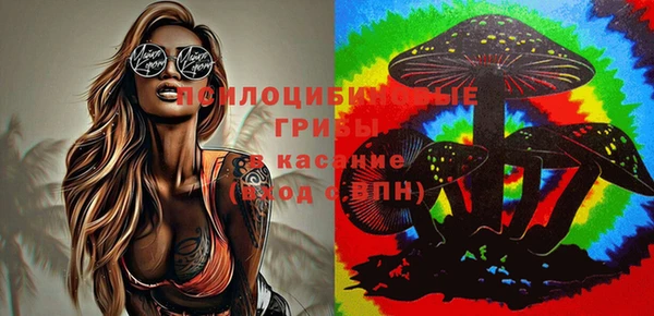 скорость Богородицк