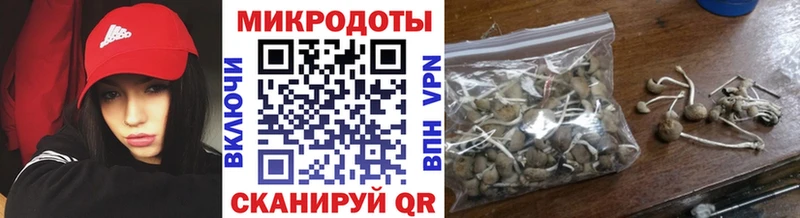 Галлюциногенные грибы Psilocybe  Верхний Тагил 